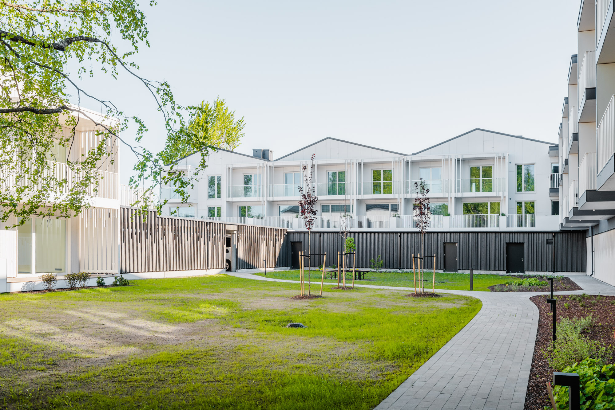 Tallinn, Luige 5