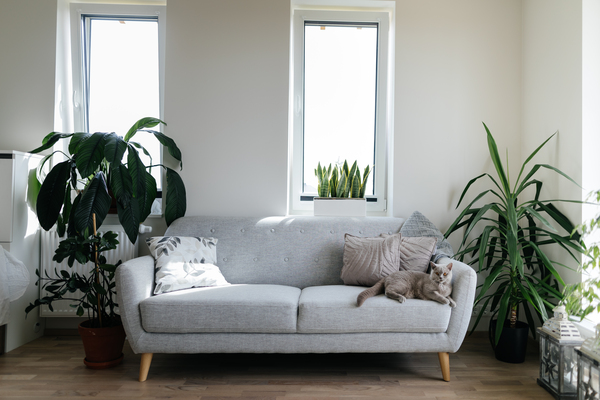 Korterite müügiinfo