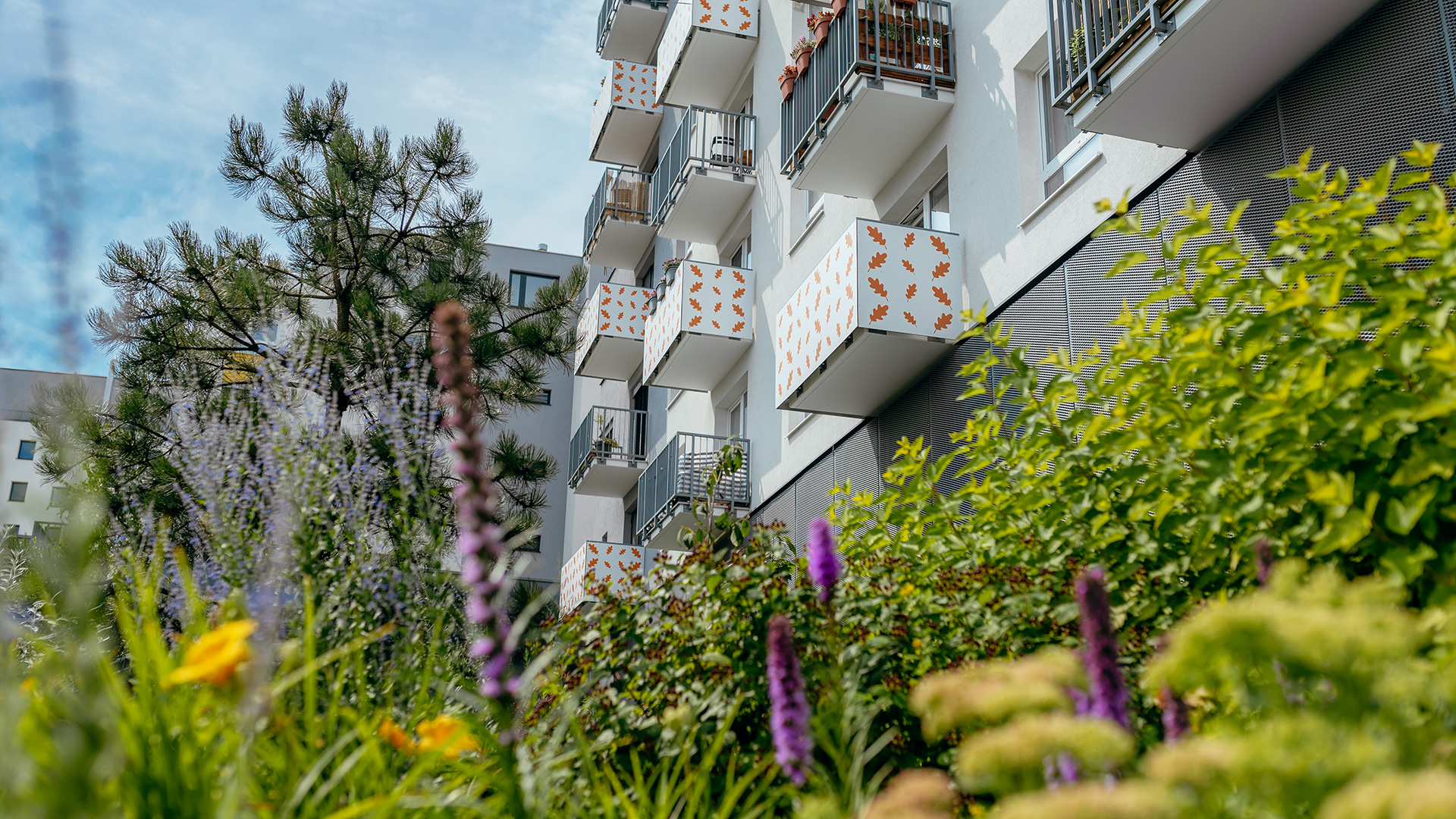 Kuidas kodus vähese vaevaga energiat säästa?