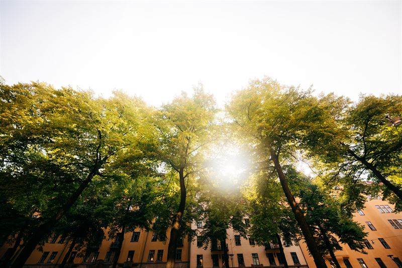 Kestliku linna kolm nurgakivi